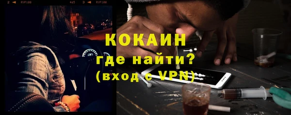 сатива Мегион
