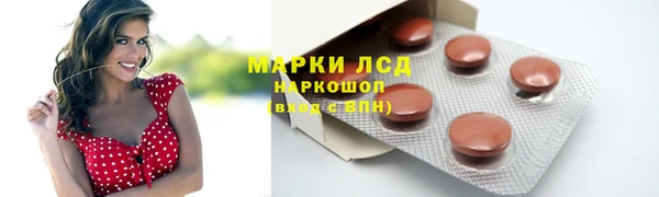 сатива Мегион