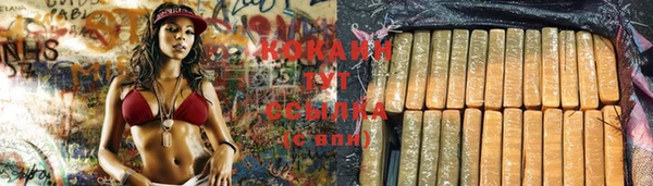 сатива Мегион