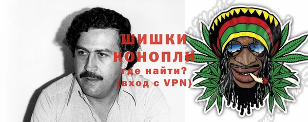 сатива Мегион