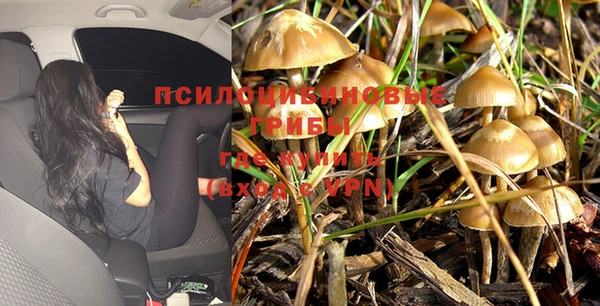 MDMA Медвежьегорск