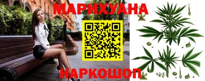 индика Будённовск