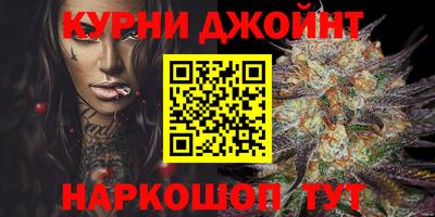 индика Пугачёв