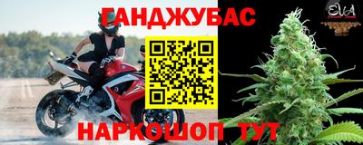 индика Будённовск