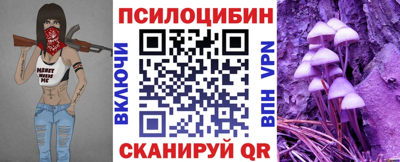 Галлюциногенные грибы Psilocybe  Старый Оскол 