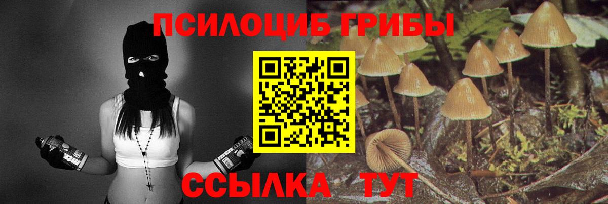 Псилоцибиновые грибы прущие грибы  Вход с VPN  Старый Оскол 