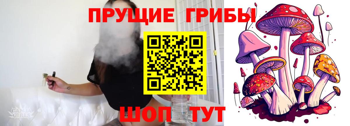 Псилоцибиновые грибы MAGIC MUSHROOMS  Псилоцибиновые грибы MAGIC MUSHROOMS  Старый Оскол 