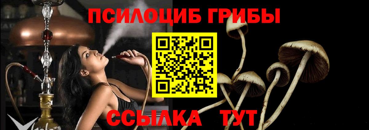 Галлюциногенные грибы прущие грибы Старый Оскол